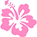 Salem Media Of Hawaii logo