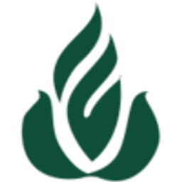 avatar logo