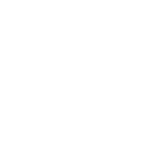 Hawk Racing Bicycles Inc. logo