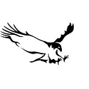 Hawk Hollow Golf Course logo