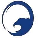 Hawk Construction & Utilities logo