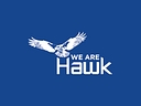 Hawk Consultants Llc / Hawk Technical Services Llc logo