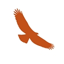 Hawkwatch International logo