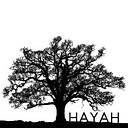 Hayah Consulting