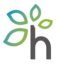 Hayas logo