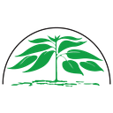 Hazel Health logo