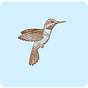 Hummingbird Vintage
