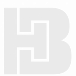 avatar logo