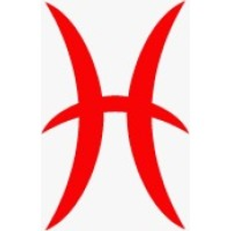 HCL GLOBAL SYSTEMS logo