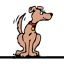Hill-Dale Veterinary Care