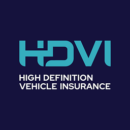 HDVI Technology Services, Inc. logo