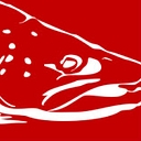 Headhunters logo