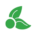 Healing Noni logo