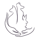 Healing Paws Veterinary Hospital