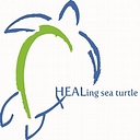 Healing Sea Turtle Llc logo