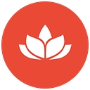 Health Samurai logo