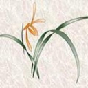 Health Advantage Yoga Center logo