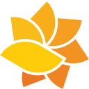 THE HEALTH COLLABORATIVE logo