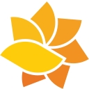 The Health Collaborative