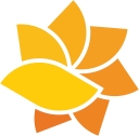The Health Collaborative logo