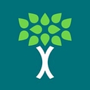 Health Scholars logo