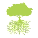 Healthy Foundations Group logo