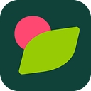 Favicon of HealthyLife
