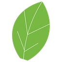 healthyongreen.de logo