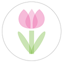 Healthy Start Coalition of logo
