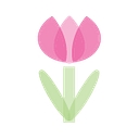 Healthy Start Coalition of HHP