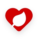 Heart Health Insights