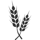 Heartland Optical Inc logo