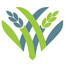 THE COMMUNITY FOUNDATION OF logo