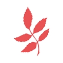 Heathdale Christian College Limited logo
