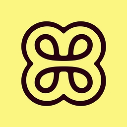 Heidi Health logo