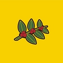 Heine Bros Coffee logo