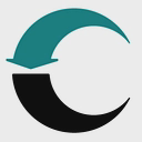 Heinzmann GmbH & Co. KG logo