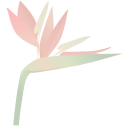 HELICONIA CAPITAL MANAGEMENT PTE. LTD. logo