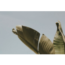 Helloklean Ltd. logo