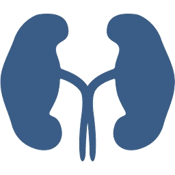 HV
