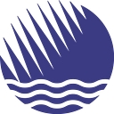 Hemic logo