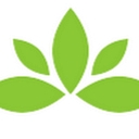 Hempsi™ logo