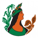 Henrico County logo