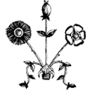 Henry Ford Estate: Fair Lane