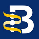 Hepatitis B Foundation logo
