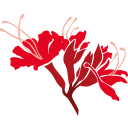 Heritage Park Rhododendron Charitable Trust logo