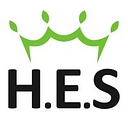 H.E.S Group logo