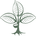 Heveya logo
