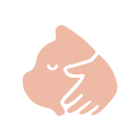 Hey Good Cat