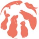 heytier.com logo